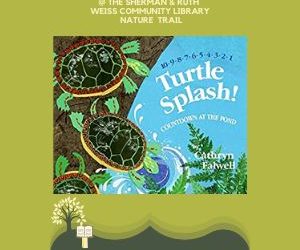 StoryWalk®Book – Turtle Splash!