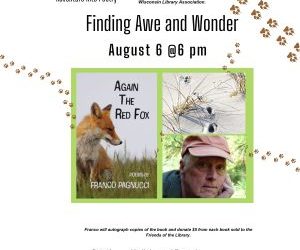 Adventure Into Poetry – Fining Awe and Wonder – Franco Pagnucci