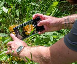 BioBlitz Information Session
