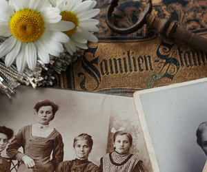 Unearth Your Ancestry