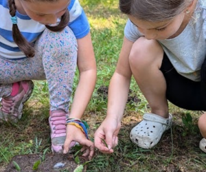 Junior Naturalist