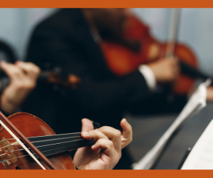 Northwoods String Quartet